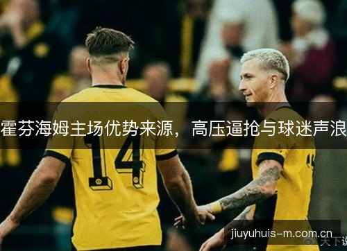霍芬海姆主场优势来源，高压逼抢与球迷声浪